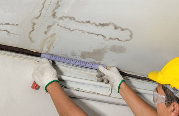 Reliable Water Damage Repair contractor in Allentown, NJ by Local Water Damage Repair
